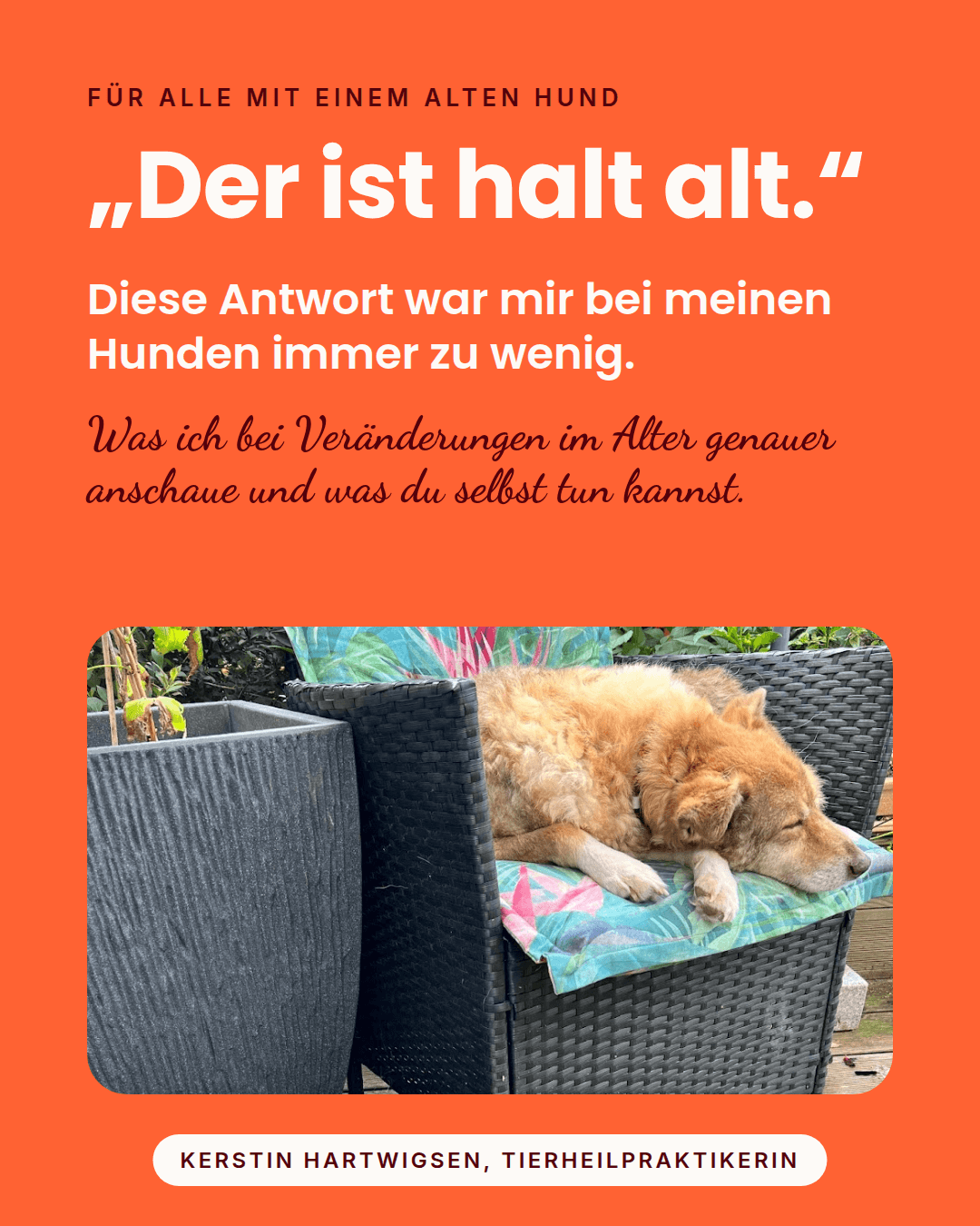 Cover: Der ist halt alt