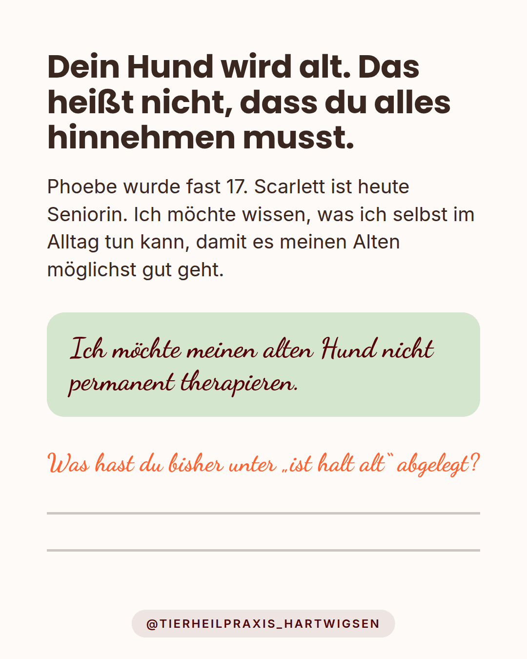 Dein Hund wird alt. Das heißt nicht, dass du alles hinnehmen musst.