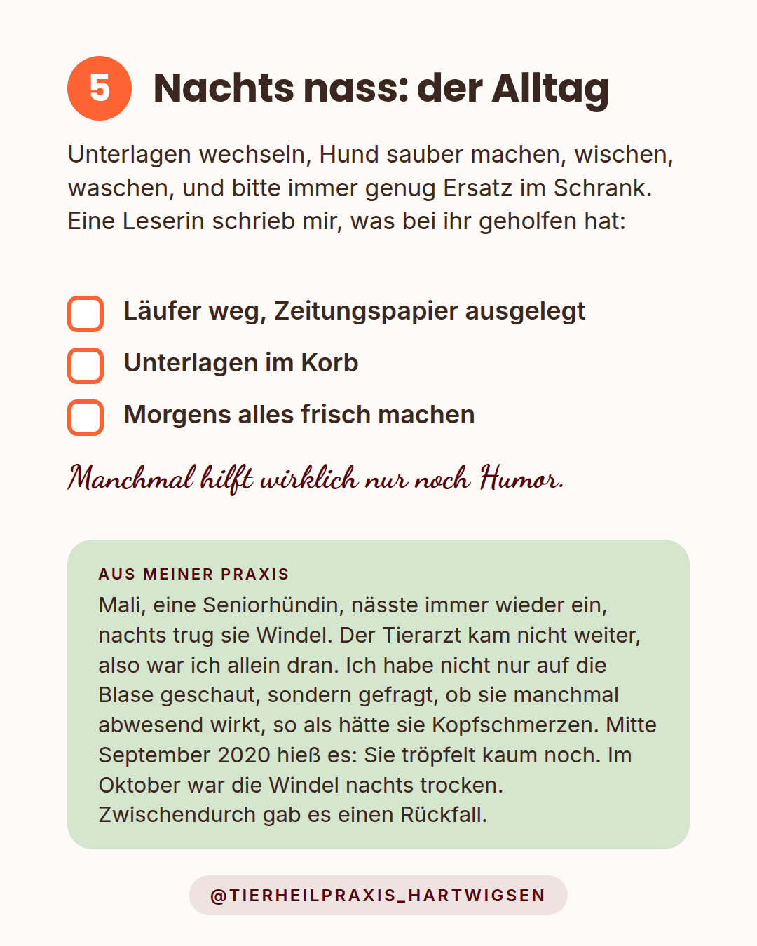 Nachts nass: der Alltag