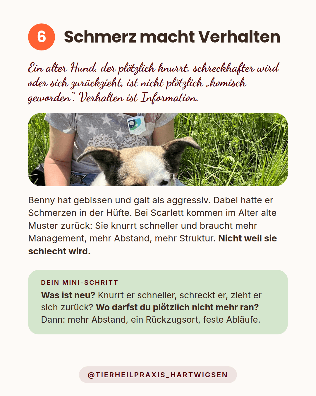 Schmerz macht Verhalten