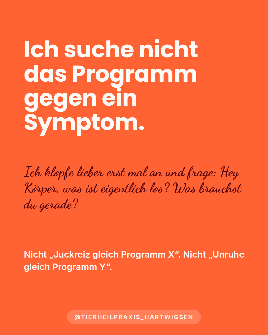 Ich suche nicht nach dem einen Ding