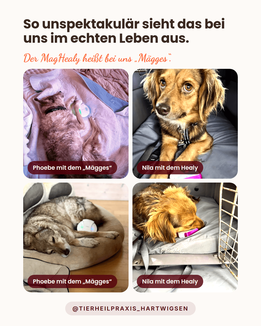 Wie selbstverständlich das bei uns ist: Alltagsfotos