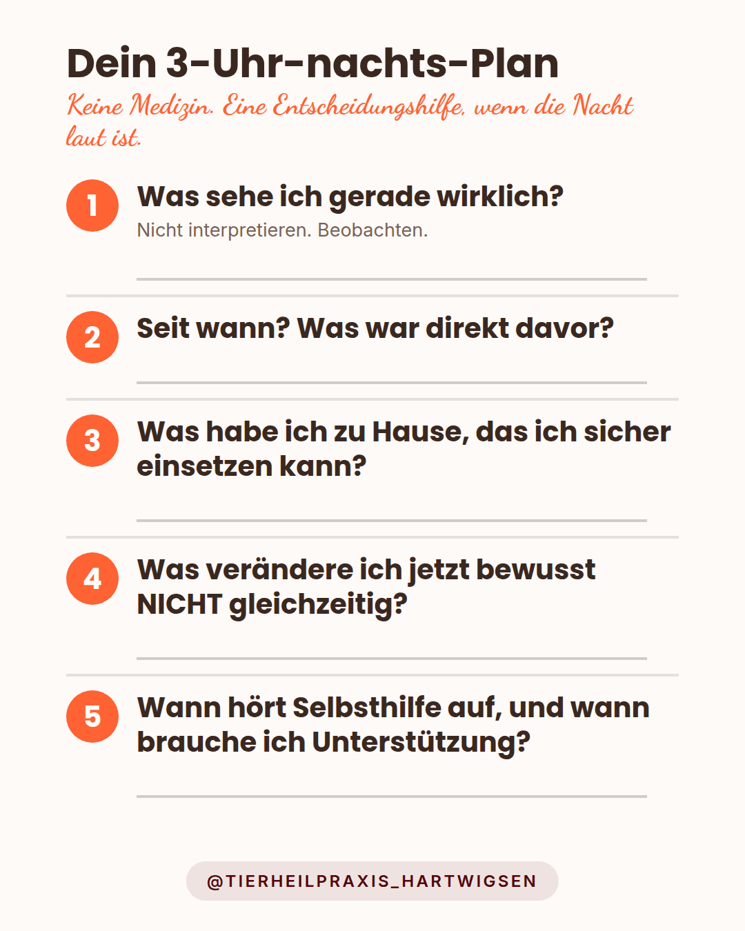 Dein 3-Uhr-Plan