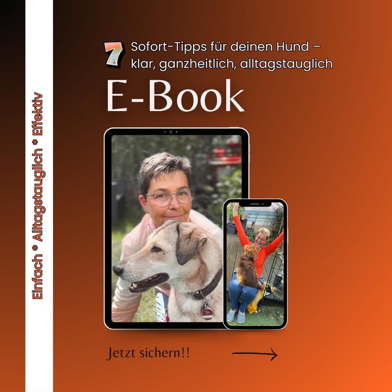 Titelbild des E-Books „7 Dinge, die du sofort für deinen Hund tun kannst“