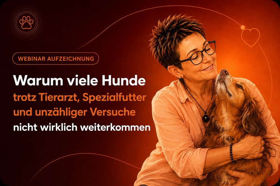 Kerstin umarmt ihren Hund, daneben der Hinweis Webinar-Aufzeichnung und die Überschrift Warum viele Hunde trotz Tierarzt, Spezialfutter und unzähliger Versuche nicht wirklich weiterkommen