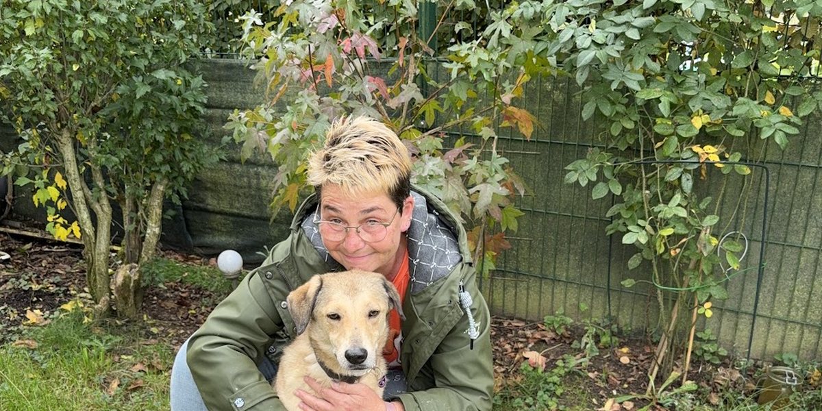 Phoebe und das Vestibularsyndrom – warum ich alles eingesetzt habe was ich habe