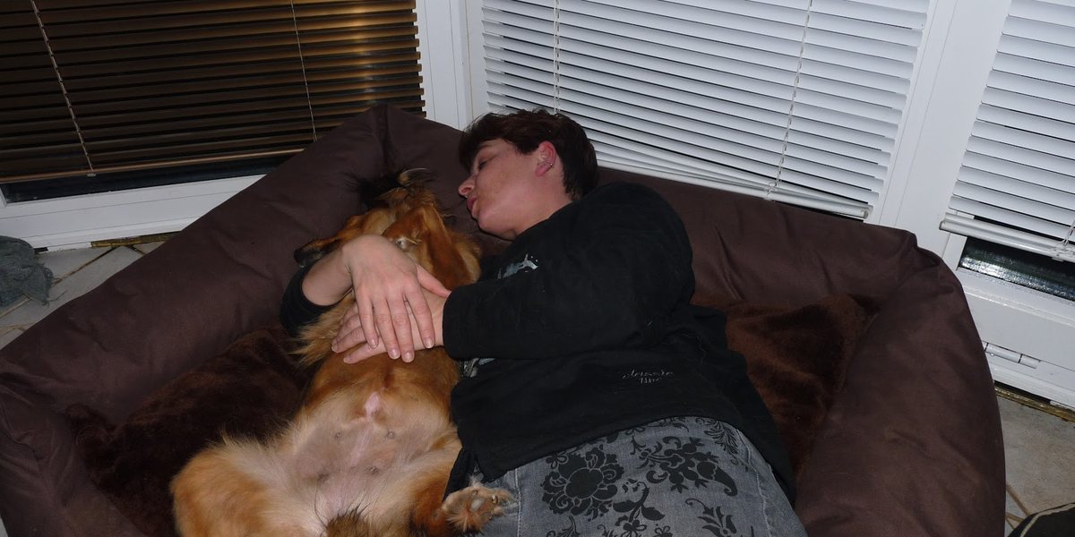 3 Fehler die fast jede Hundemama macht wenn ihr Hund krank ist