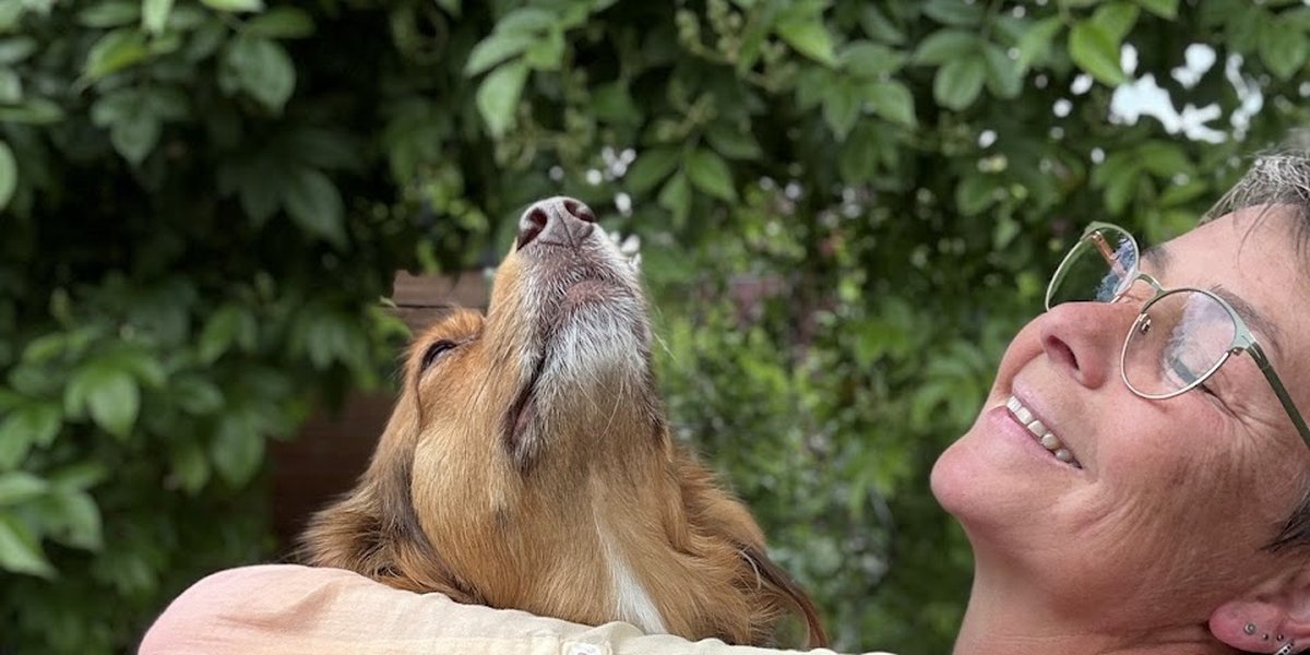 Schon so viel Geld für deinen Hund ausgegeben und trotzdem keine Ruhe?