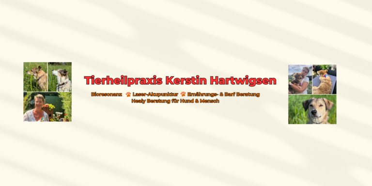 Mehr als nur Durchfall – wenn FrequenzKRAFT das Unsichtbare sichtbar macht
