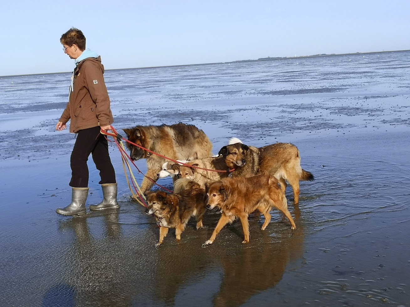 Kerstin und ihre 7 Zwerge am Meer