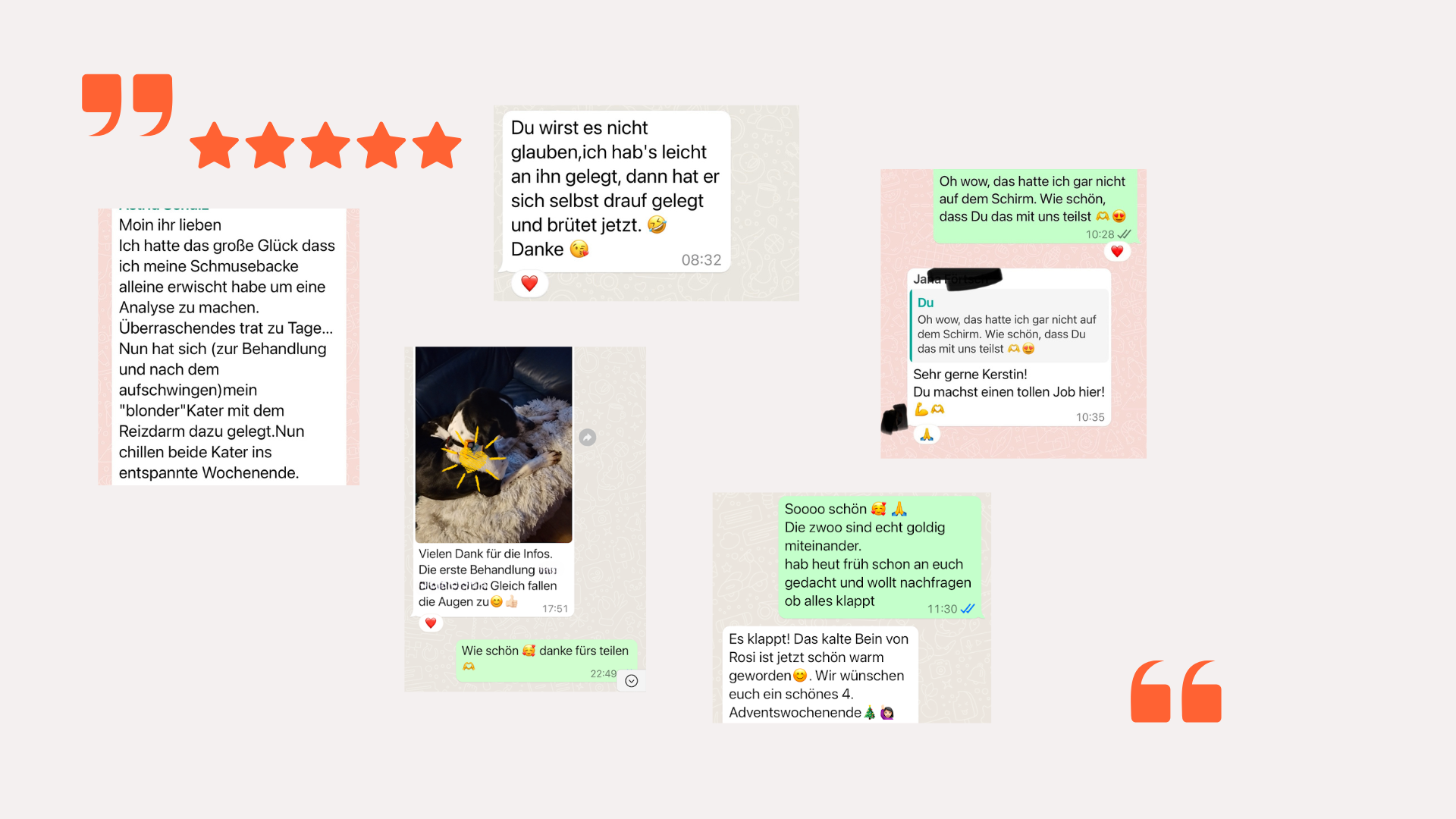 WhatsApp Feedbacks Hundeleute