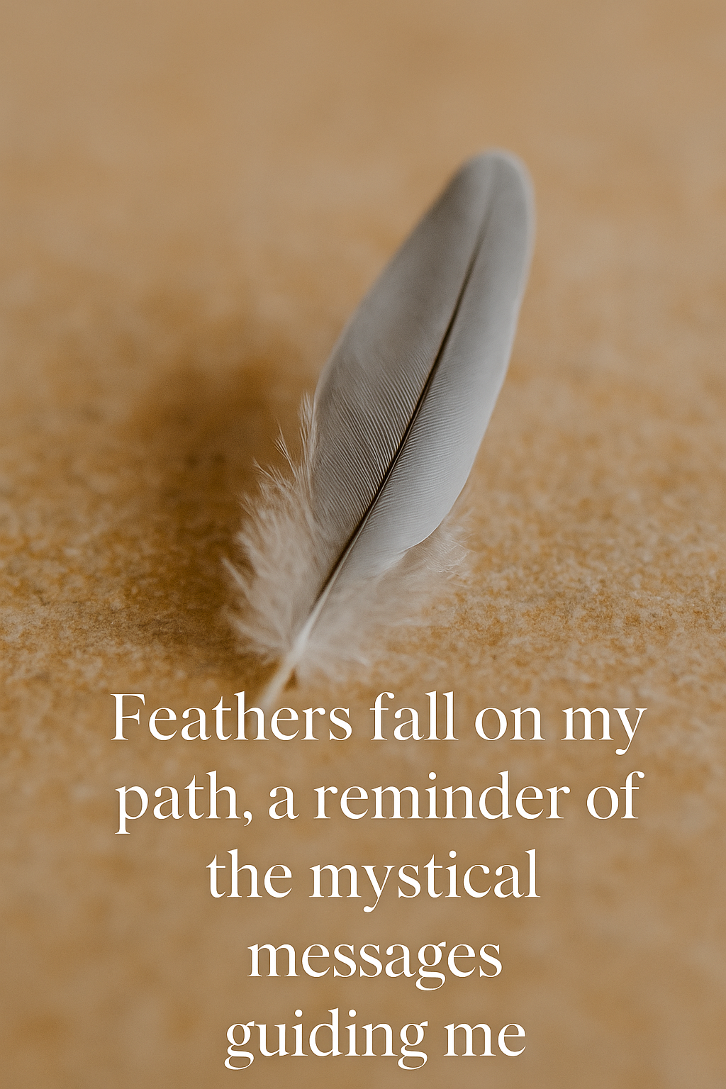 Feather on my path