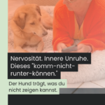 Tierarzt-Odyssee – wenn das Frequenzgerät in der Schublade landet