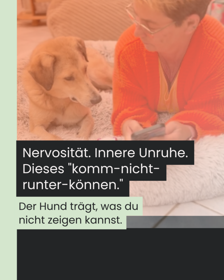 Tierarzt-Odyssee – wenn das Frequenzgerät in der Schublade landet