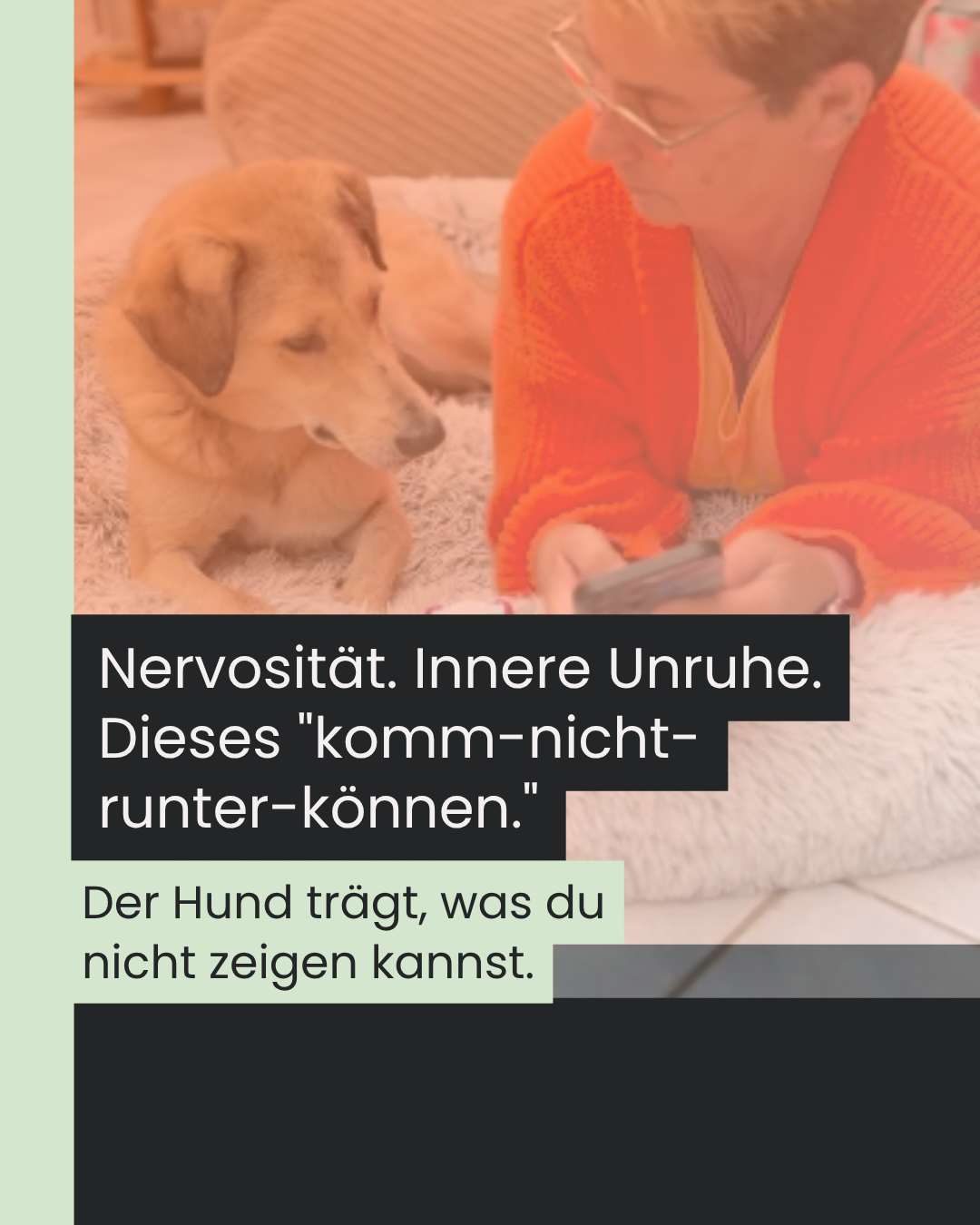 Tierarzt-Odyssee – wenn das Frequenzgerät in der Schublade landet