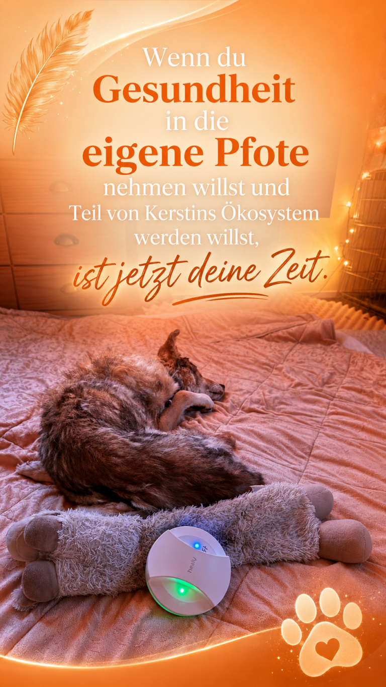 Was dir kein Tierarzt über wiederkehrende Symptome sagt