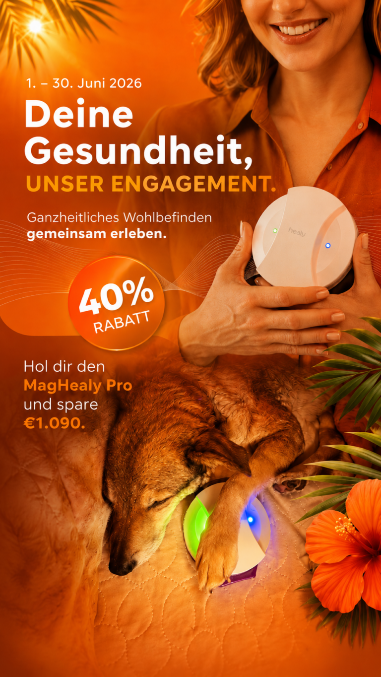 MagHealy Preis und Entscheidung: welches Gerät macht wirklich Sinn?